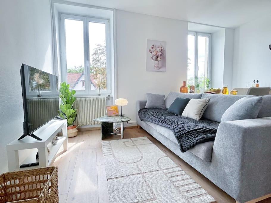 1 Appartement 3P Ideal Famille Travail Renove Lumineux Parking Gratuit Mulhouse Luaran gambar