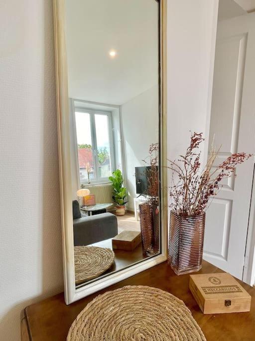 1 Appartement 3P Ideal Famille Travail Renove Lumineux Parking Gratuit Mulhouse Luaran gambar