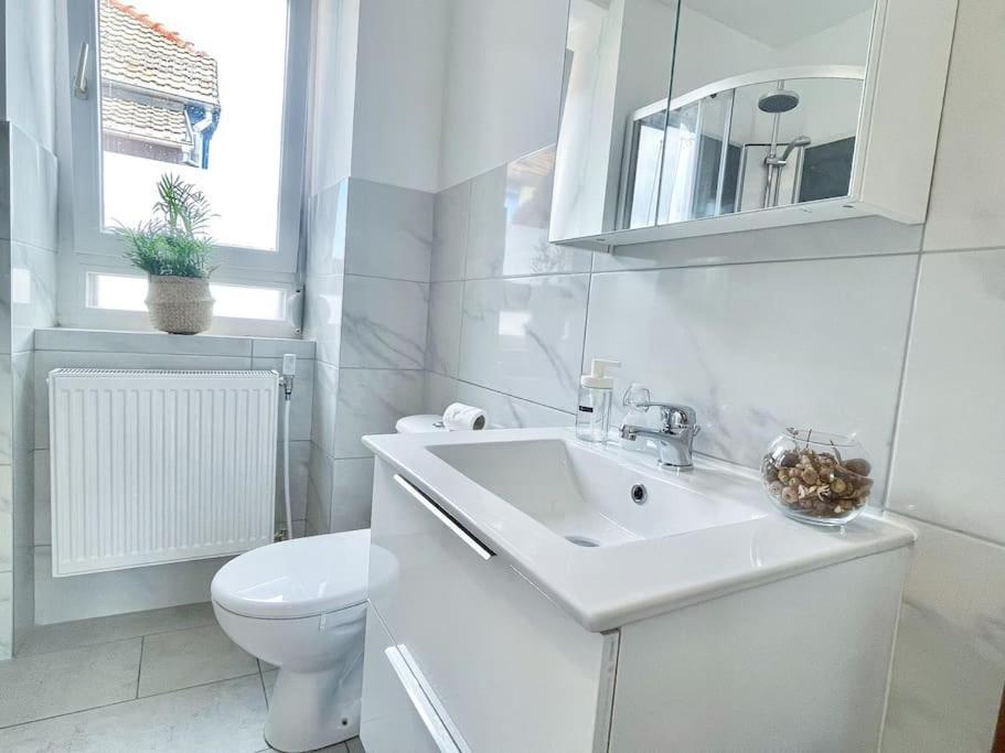 1 Appartement 3P Ideal Famille Travail Renove Lumineux Parking Gratuit Mulhouse Luaran gambar