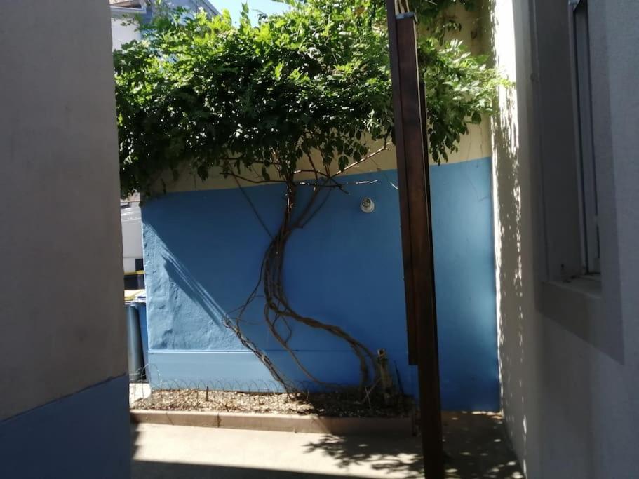 1 Appartement 3P Ideal Famille Travail Renove Lumineux Parking Gratuit Mulhouse Luaran gambar